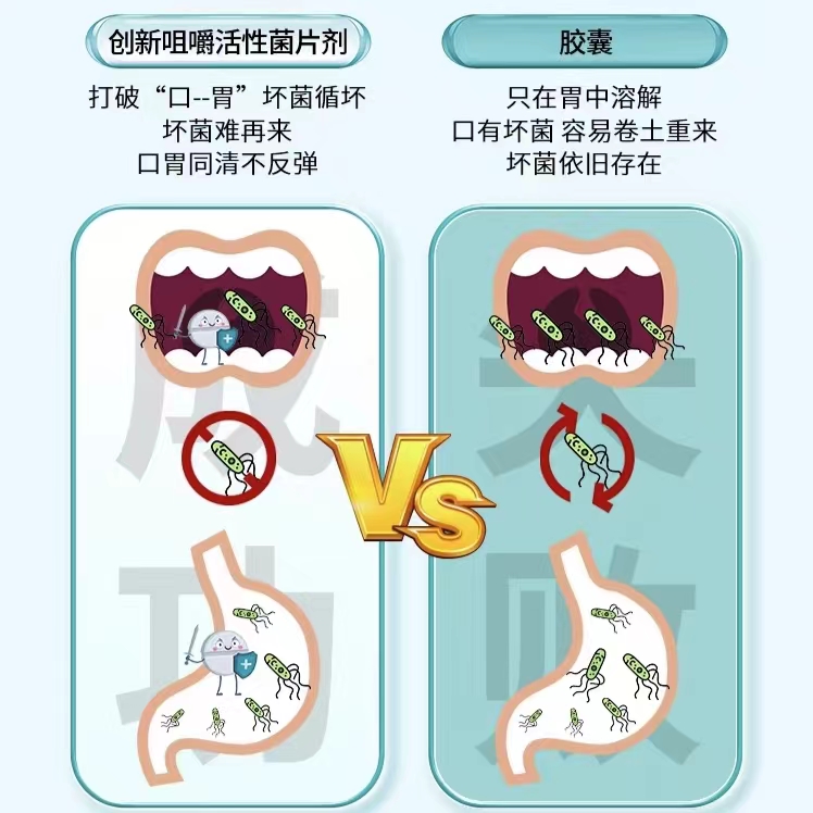 WXYZ肠胃益生菌罗伊氏乳杆益生元儿童成人调理肠道肠胃健康 - 图2