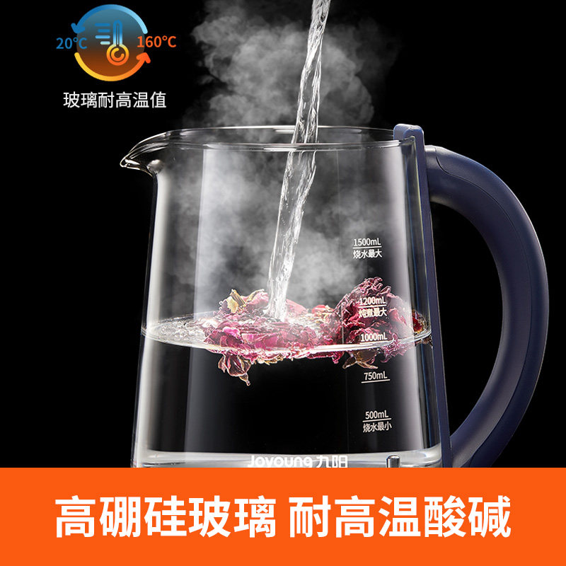  九阳中式厨房养生壶/煎药壶