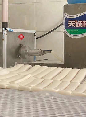 天诚牌全自动不锈钢年糕机新型出机自熟饵块粑粑机