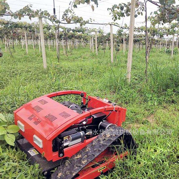 小型汽油履带割草机 堤坝荒地杂草自动割草机 全地形灌木丛修剪机,淘宝优惠券,粉丝福利购,淘宝优惠卷