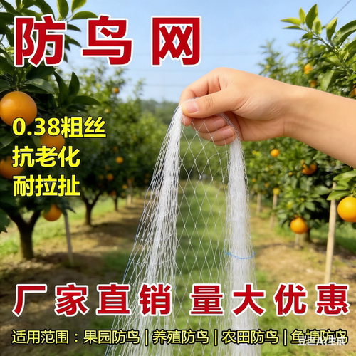 2.5 厘米网孔防鸟网果园专用尼龙抗老化大棚果树樱桃葡萄鱼塘天网 - 图2