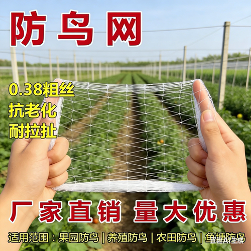 2.5 厘米网孔防鸟网果园专用尼龙抗老化大棚果树樱桃葡萄鱼塘天网 - 图0