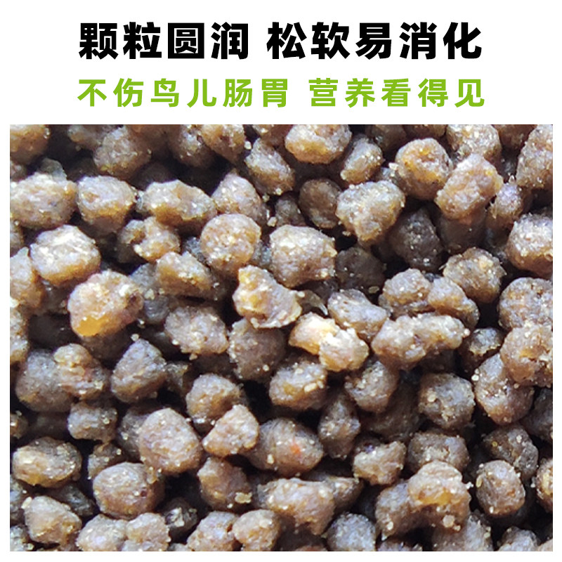 羽鸣绣眼鸟食靓羽提性粉眼白眼圈红肋暗绿秀眼鸟食专用饲料防水便,淘宝优惠券,粉丝福利购,淘宝优惠卷