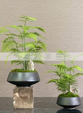 新中式花艺仿真绿植盆景样板房客厅售楼处玄关植物文竹盆栽摆件