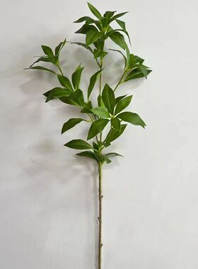 大枝仿真马醉木3D打印日本吊钟植物假树马醉木装饰北欧风家居摆件