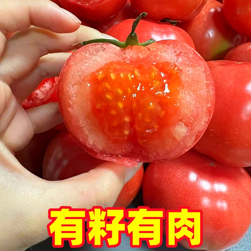 云南沙瓤普罗旺斯西红柿5斤新鲜生吃的铁皮自然熟水果农家大番茄