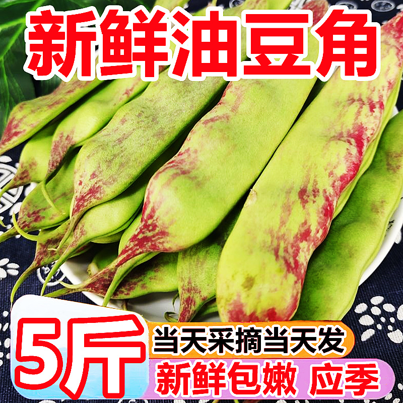 东北特产新鲜现摘油豆角5斤现摘当季蔬菜正宗一点红整箱批发豆角-图1