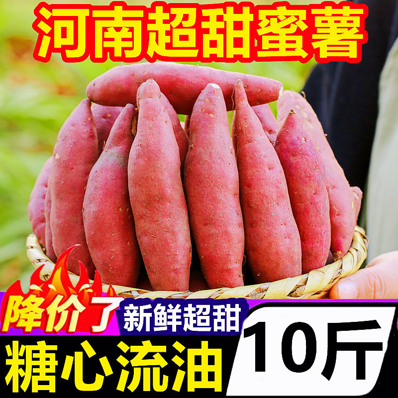  黄六爷果多多番薯