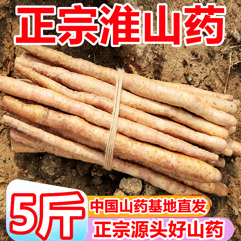 河南正宗垆土铁棍山药10斤新鲜小白嘴怀山铁杆淮山药官方旗舰店5 - 图0