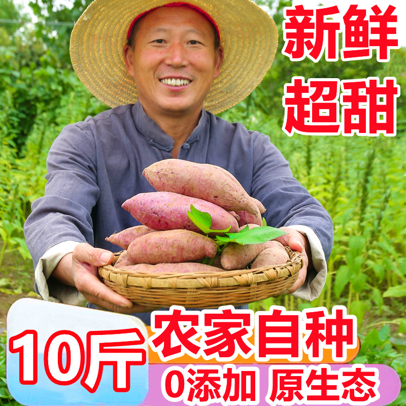 云南糖心紫薯10斤新鲜蔬菜烟薯蜜薯沙地番薯板栗红薯地瓜农家自种