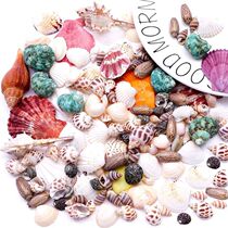 Fish tank Decorative Framing Package Swing Piece Office Simulation of View Scenery Water Grass Frosted Stone Sea Snail Shell Suit