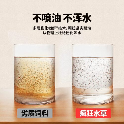 小型鱼食鱼饲料小颗粒通用孔雀鱼增色开口鱼粮观赏鱼斗鱼鱼苗饲料 - 图2