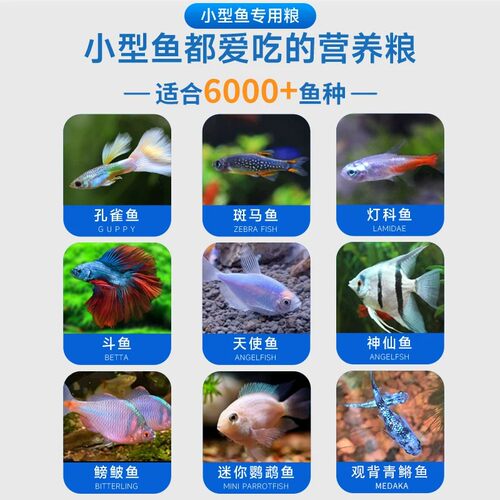 小型鱼食鱼饲料小颗粒通用孔雀鱼增色开口鱼粮观赏鱼斗鱼鱼苗饲料 - 图3