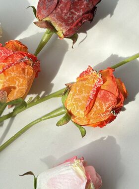仿真飘雪玫复古仿干花烤边玫瑰 家居花艺装饰婚庆DIY地排花