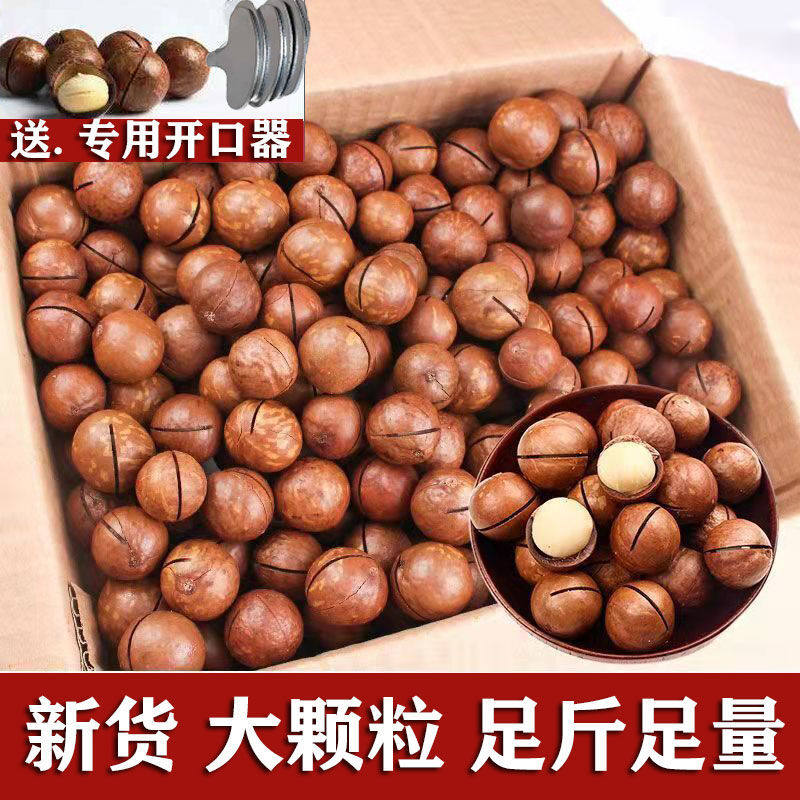 新货大颗粒夏威夷果奶油味袋装净重干果批发孕妇坚果零食大礼包,淘宝优惠券,粉丝福利购,淘宝优惠卷