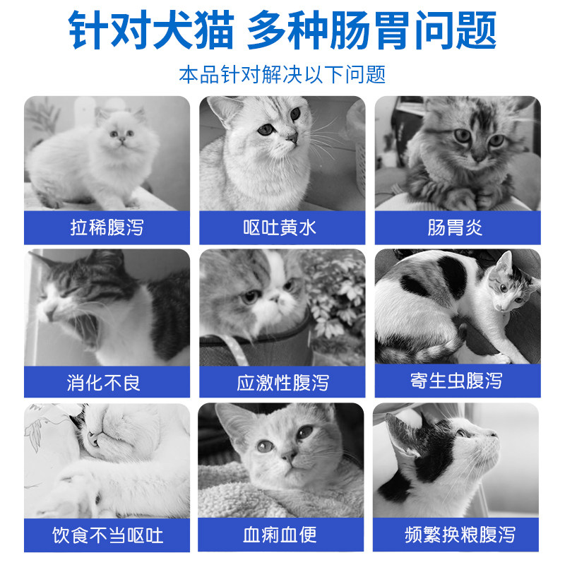  ANGELAMIAO宠物用品猫特色保健品
