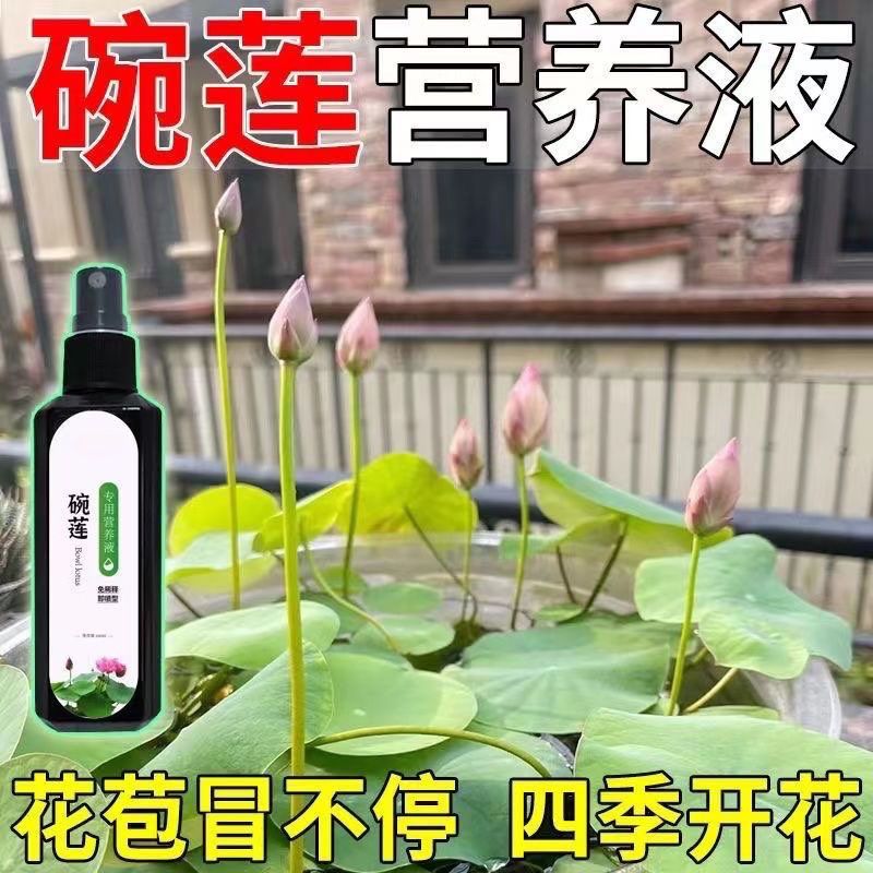 碗莲睡莲荷花营养液【高效】防黄叶叶面黑催芽促开花增肥液体肥料 - 图3