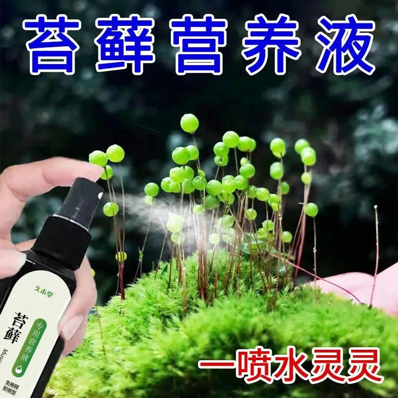 苔藓专用肥料免稀释液体肥营养液微景观抑菌百菌清多菌灵土虫净悬 - 图2