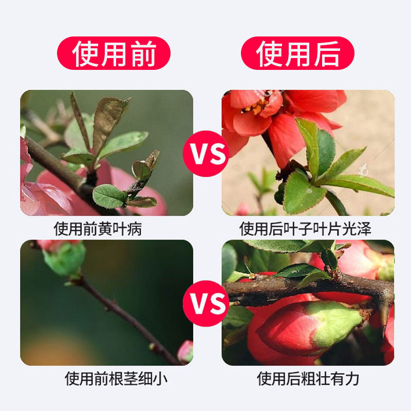 海棠花专用肥四季海棠树营养液家用盆栽植物花卉一喷绿通用型肥料 - 图1