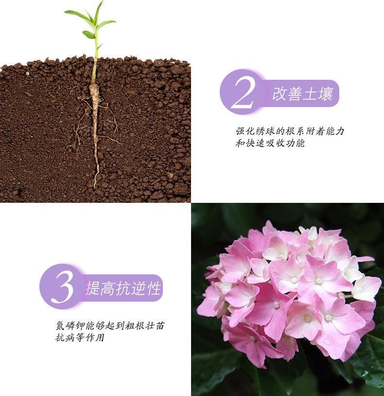 免稀释绣球花肥料花肥喷施保鲜液通用型酸性植物营养液绣球调蓝剂-图3