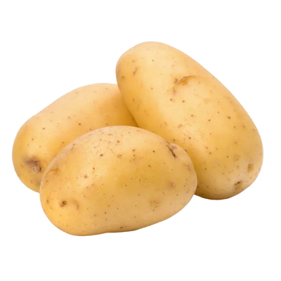 甘肃定西沙面土豆新土豆
