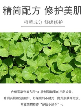 积雪草纯露水炎抗精华液舒缓淡化痘印修复皮肤屏障脸部去除红血丝