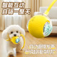 Automatic dog toy ball rechargeable