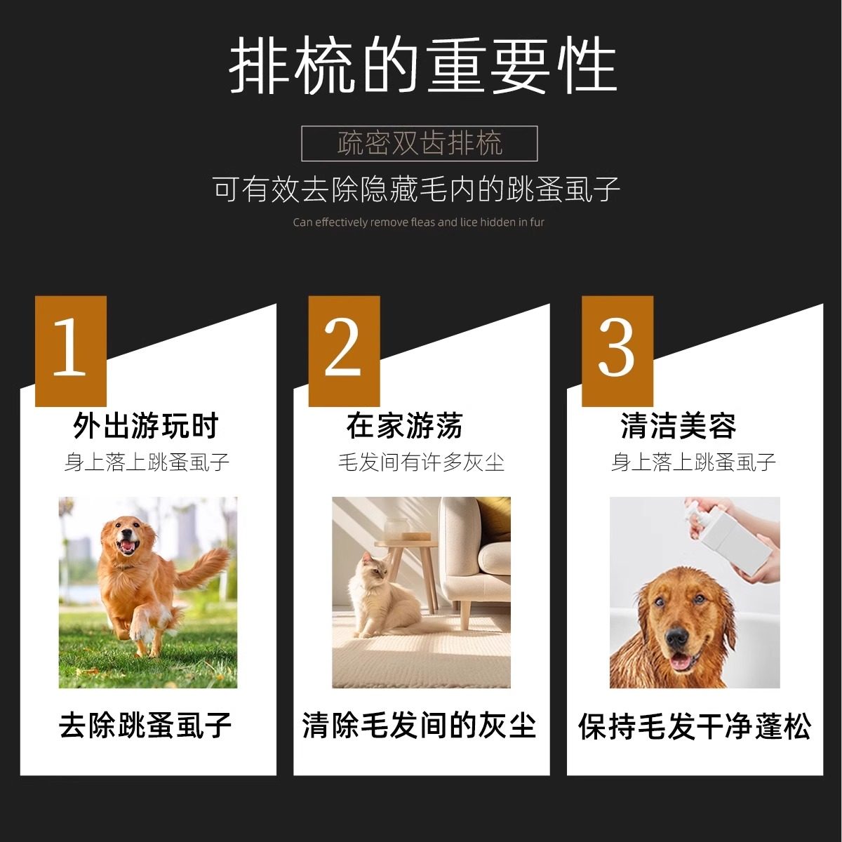 猫梳子猫毛梳宠物排梳长毛猫梳毛专用开结钢梳猫咪狗狗面梳直排梳,淘宝优惠券,粉丝福利购,淘宝优惠卷