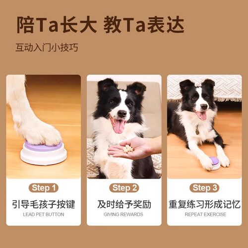 宠物交流按钮狗狗说话录音猫咪按钮玩具按键发声器语音训狗神器 - 图2