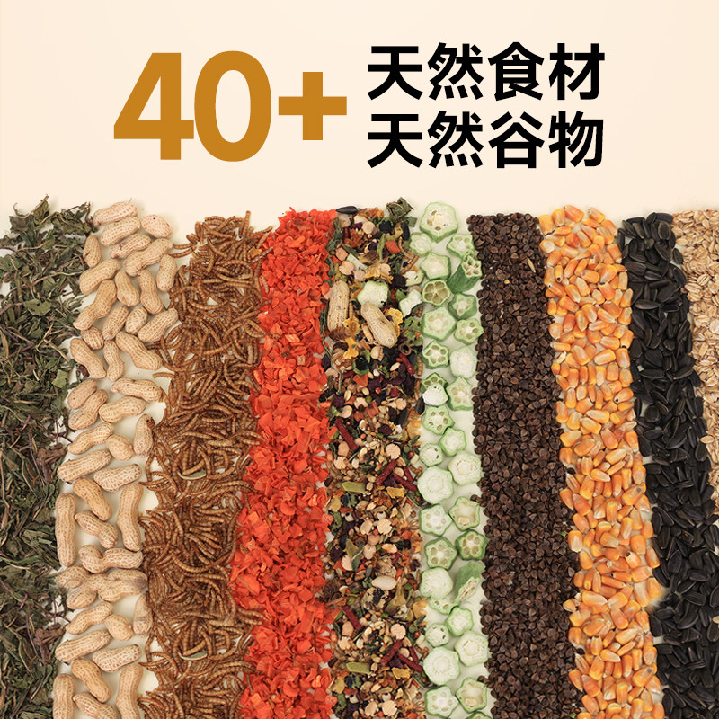 天生牙仓鼠粮食专用营养主粮金丝熊粮食天然0糖添加饲料五谷鼠粮,淘宝优惠券,粉丝福利购,淘宝优惠卷