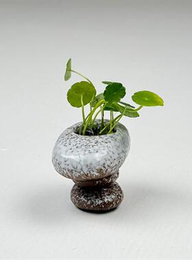 陶瓷水培小花盆花器迷你款插干燥花鱼缸假山水造景环保石头造型摆