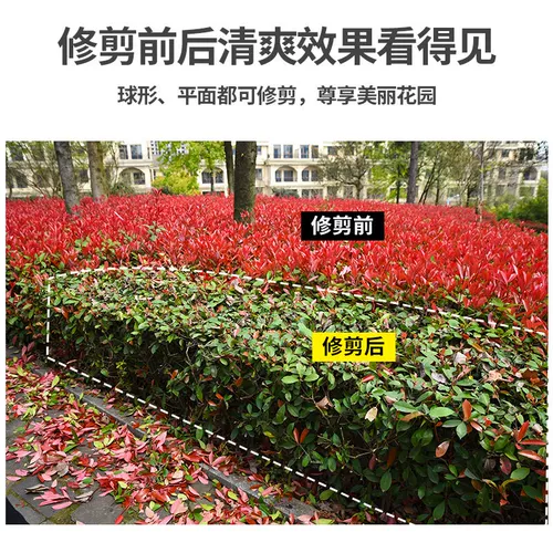 Электрическая хедж -машина заряжая чай