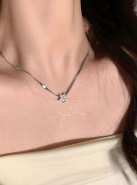 星星项链女款蛇骨链2025新款爆款轻奢小众高级设计感锁骨链颈链