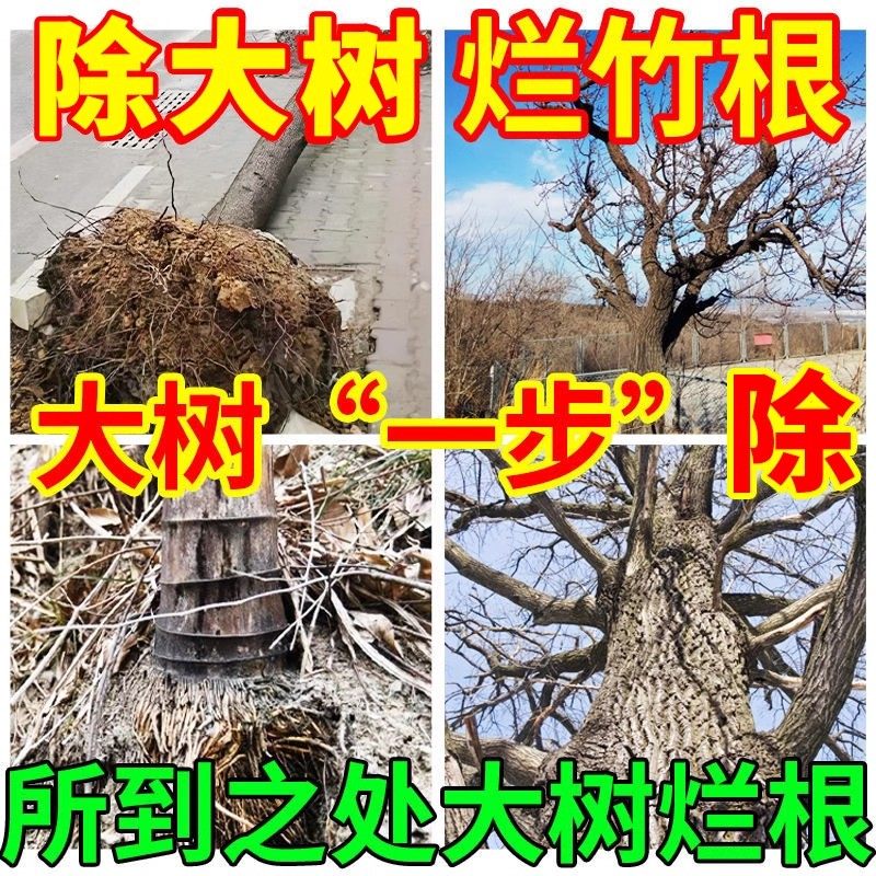 大树烂根药大树一滴死烂树根剂强力腐树根草竹子枯树王专用神器,淘宝优惠券,粉丝福利购,淘宝优惠卷