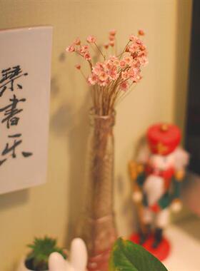 zakka多肉植物花盆白色陶瓷可爱萌兔子小白兔家居装饰品摆件包邮