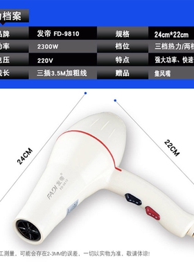 发帝FD-9810大功率发廊专用吹风
