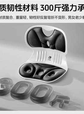 德国进口人体工学护腰靠背坐垫