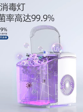 德国进口迷你全自动制冰机家用