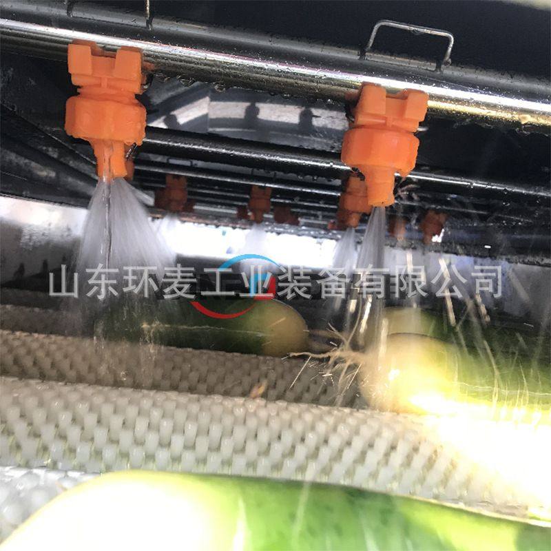 不锈钢毛辊清洗机 海鲜毛刷清洗机设备 多功能洗果机商用厂家直销,淘宝优惠券,粉丝福利购,淘宝优惠卷