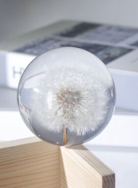 蒲公英标本树脂水晶球玄关摆件