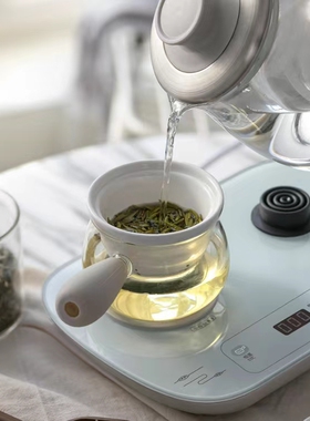 小熊自动蒸汽喷淋煮茶器送分茶杯