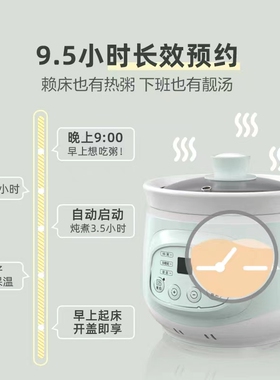 小熊电炖锅家用小型一人食陶瓷煲汤婴儿辅食炖锅煮粥专用锅烹饪机
