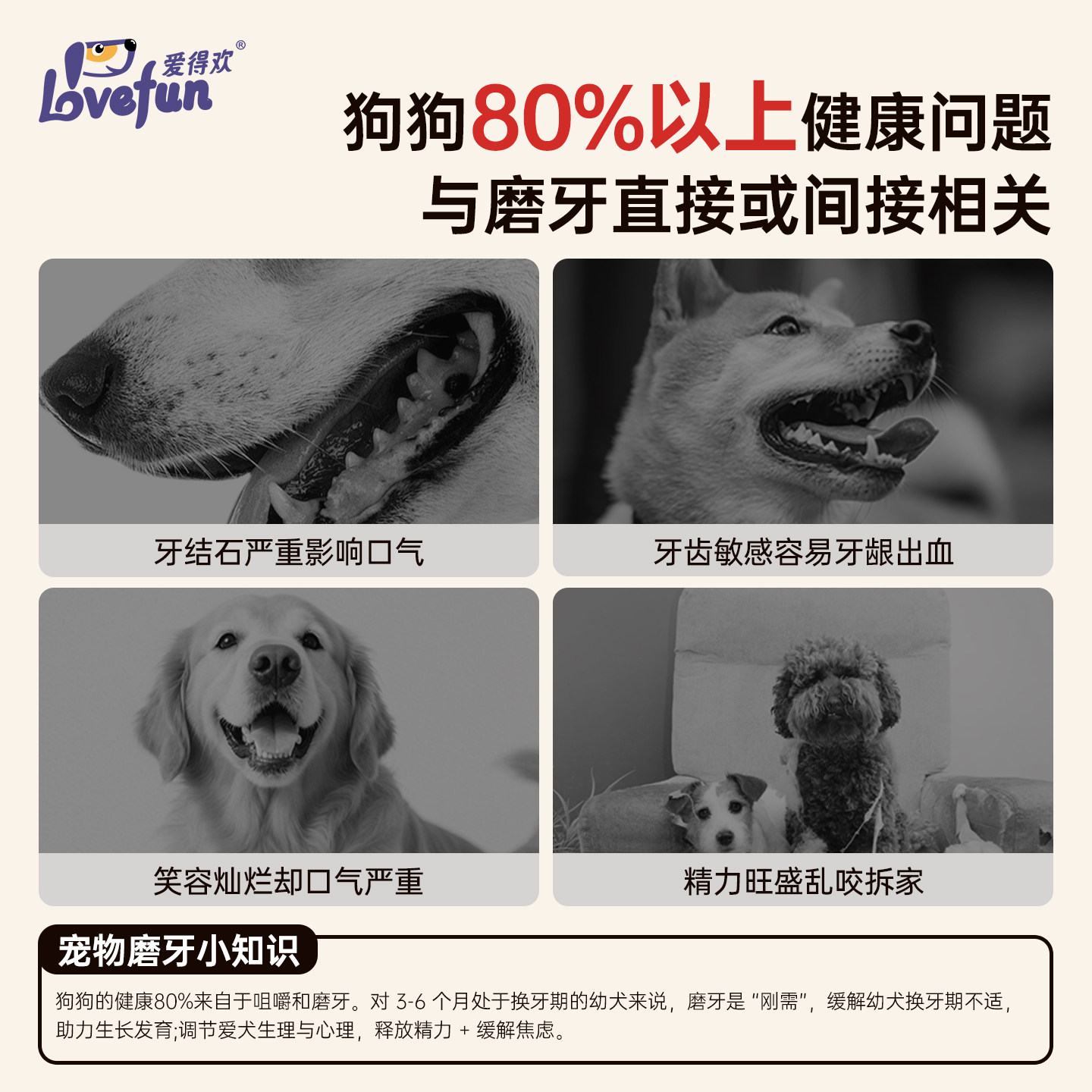 爱得欢狗狗零食磨牙棒狗小型犬环趣咬咬圈鸡鸭肉干牛皮圈宠物零食,淘宝优惠券,粉丝福利购,淘宝优惠卷
