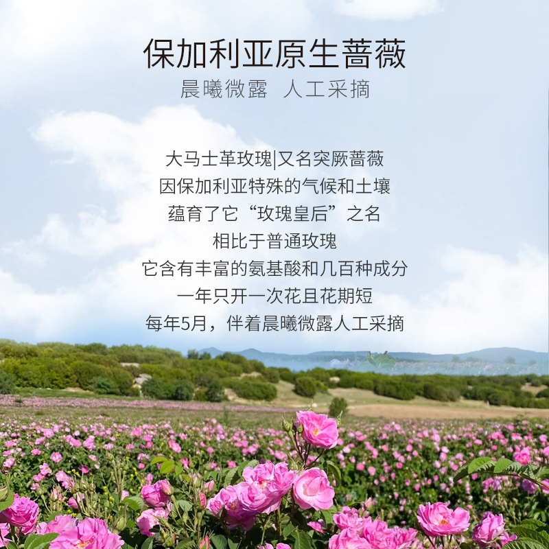 COSFACE保加利亚玫瑰精油深层滋润脸部按摩焕亮光泽改善暗沉10ml