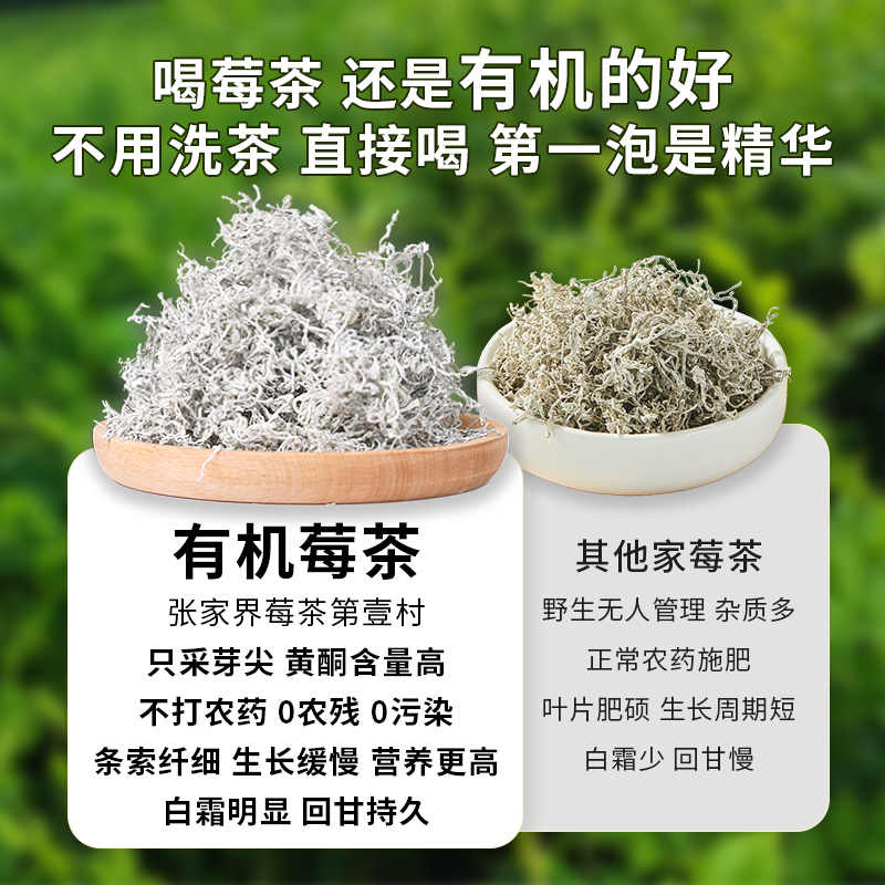 张家界永顺高山有机莓茶芽尖正宗龙须藤茶润喉护嗓养生茶泡水喝的