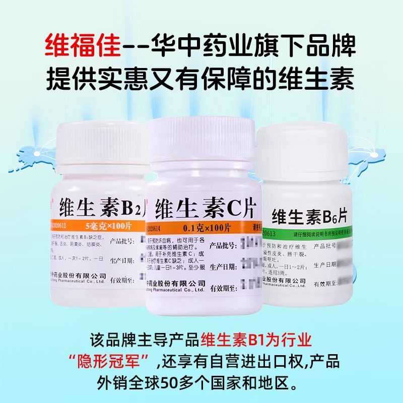 维生素b2正品官方旗舰店100片和b6成人儿童减肥大剂量钓鱼专用GM