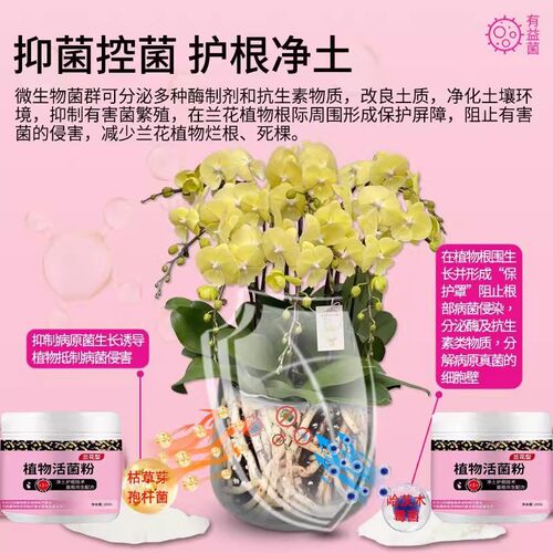 植物活菌粉兰花专用微生物菌剂养根壮根防烂根正品有益菌养花高效 - 图2