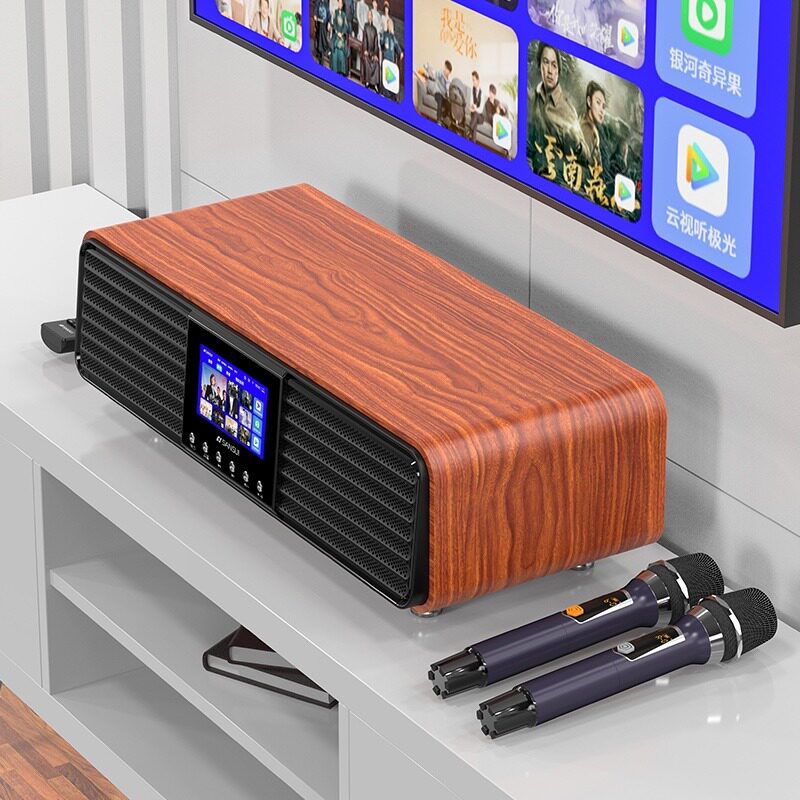  山水名子KTV/卡拉OK音箱