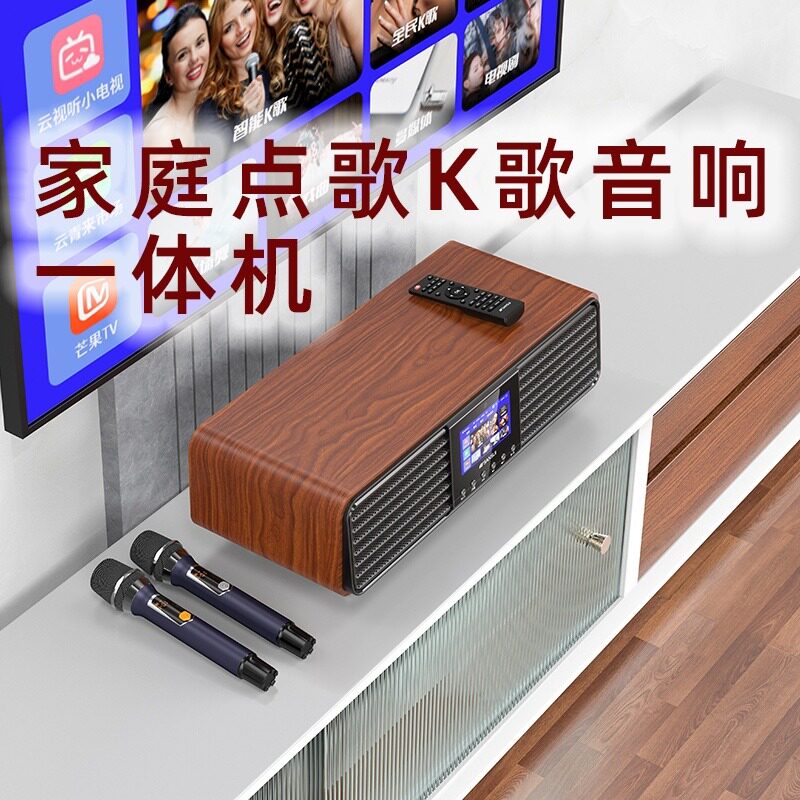  山水名子KTV/卡拉OK音箱