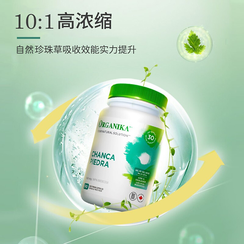 Organika加拿大珍珠草胶囊降利排结碎肾胆尿糖血石素消除保健品